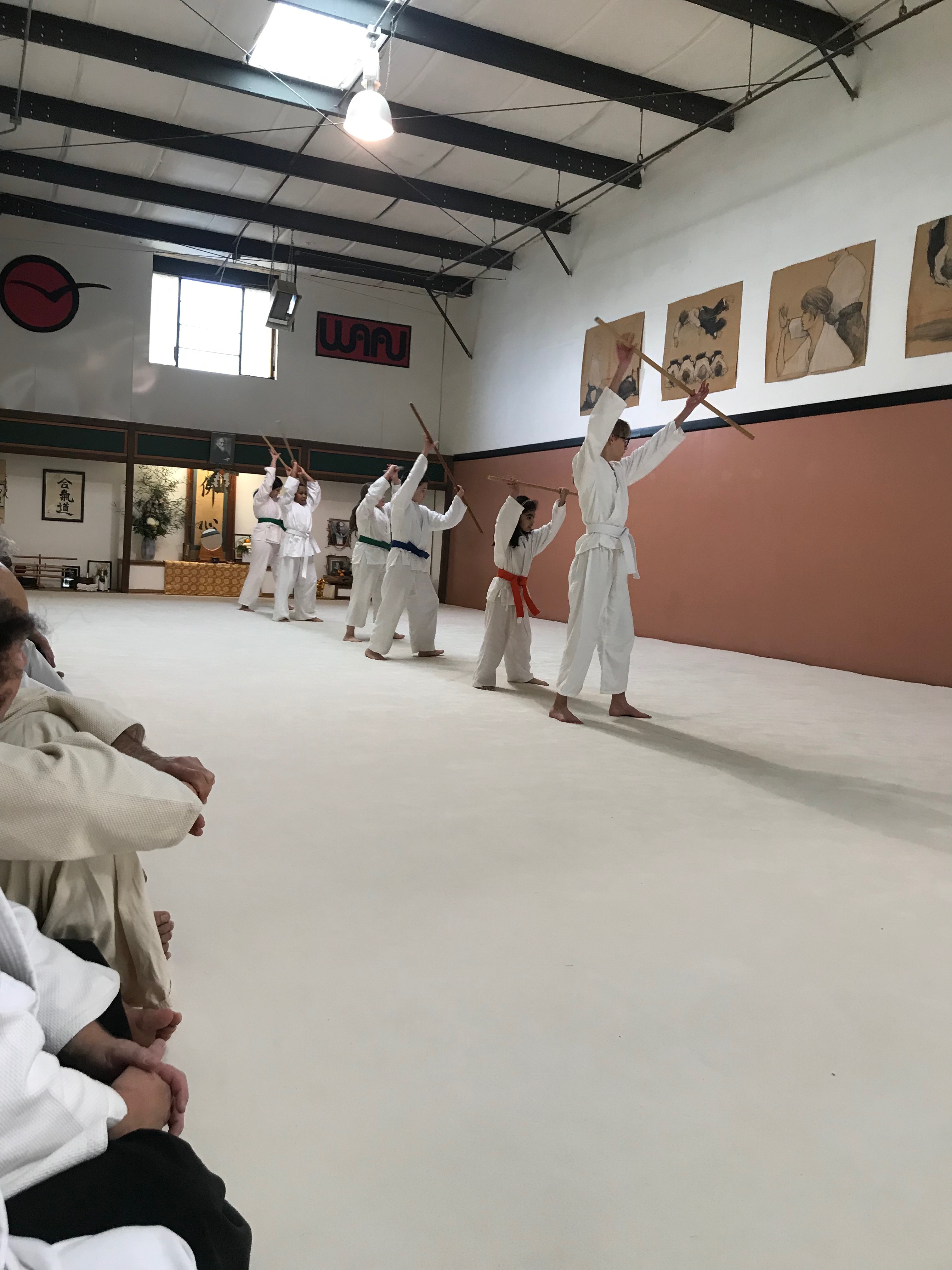 aikido family-12