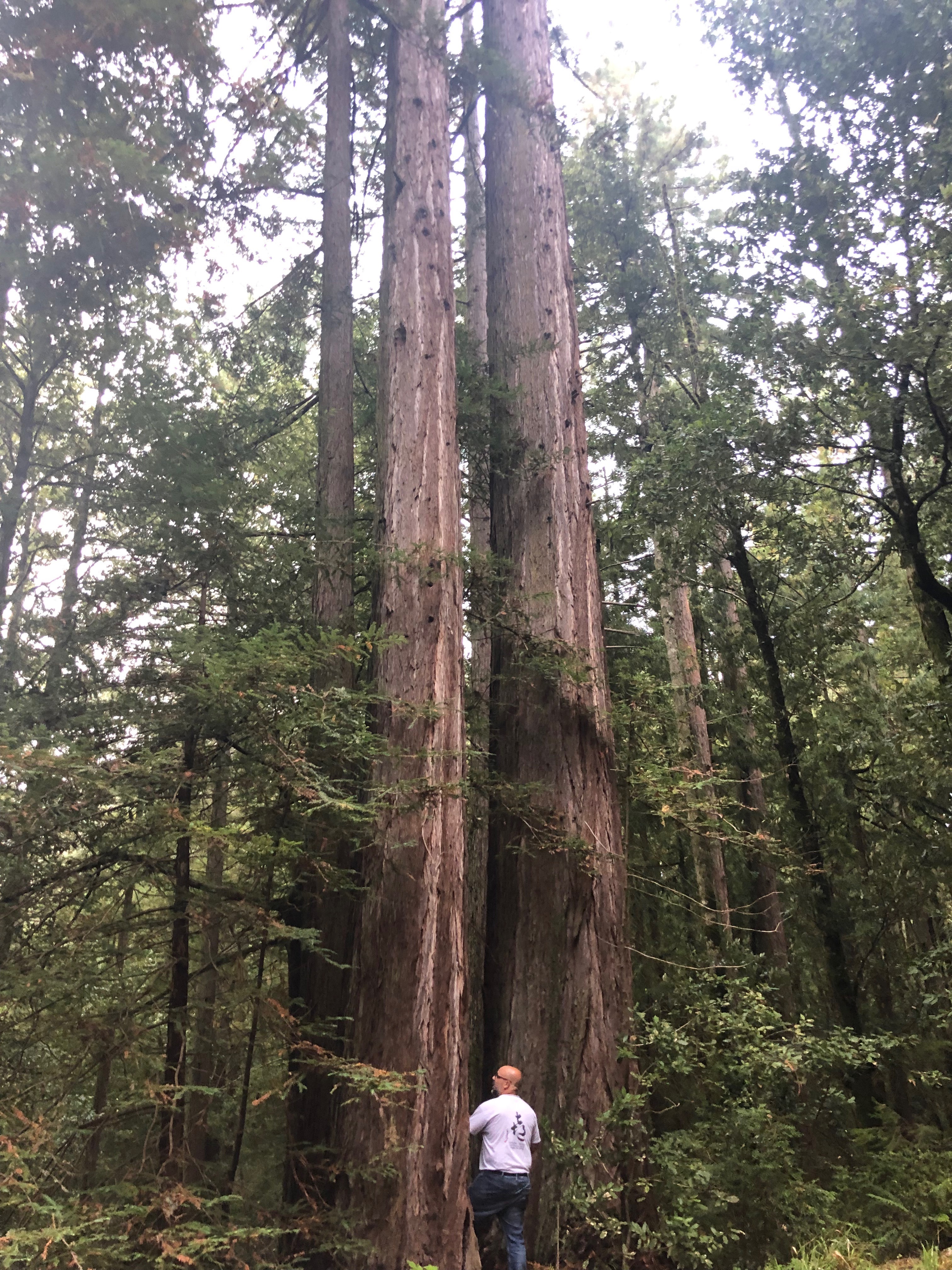 wfamily-2019-DOSHU10