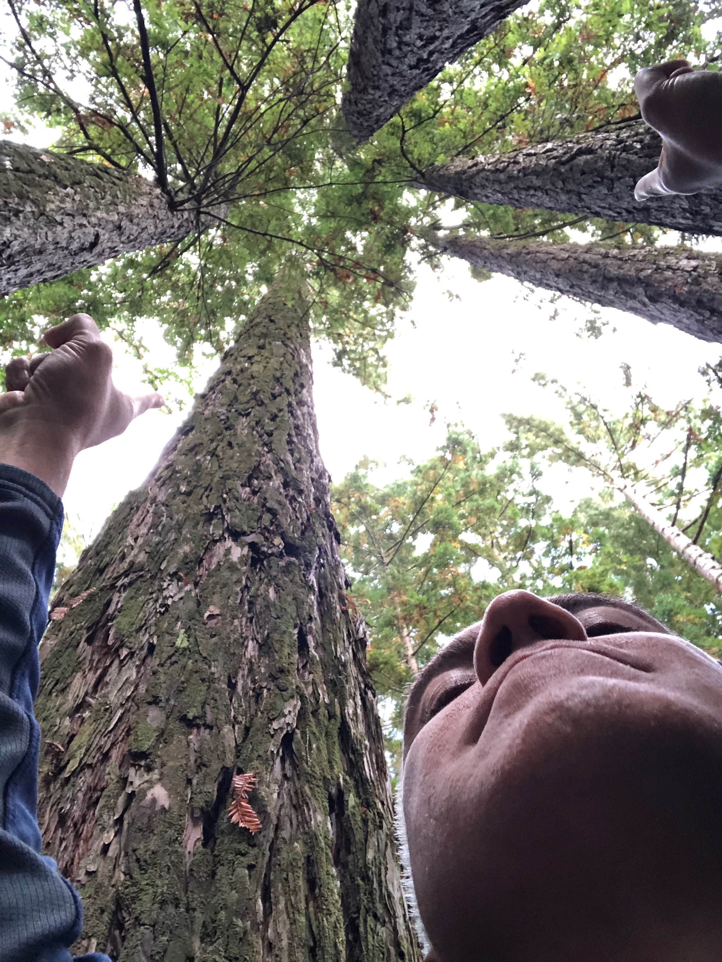 wfamily-2019-DOSHU11