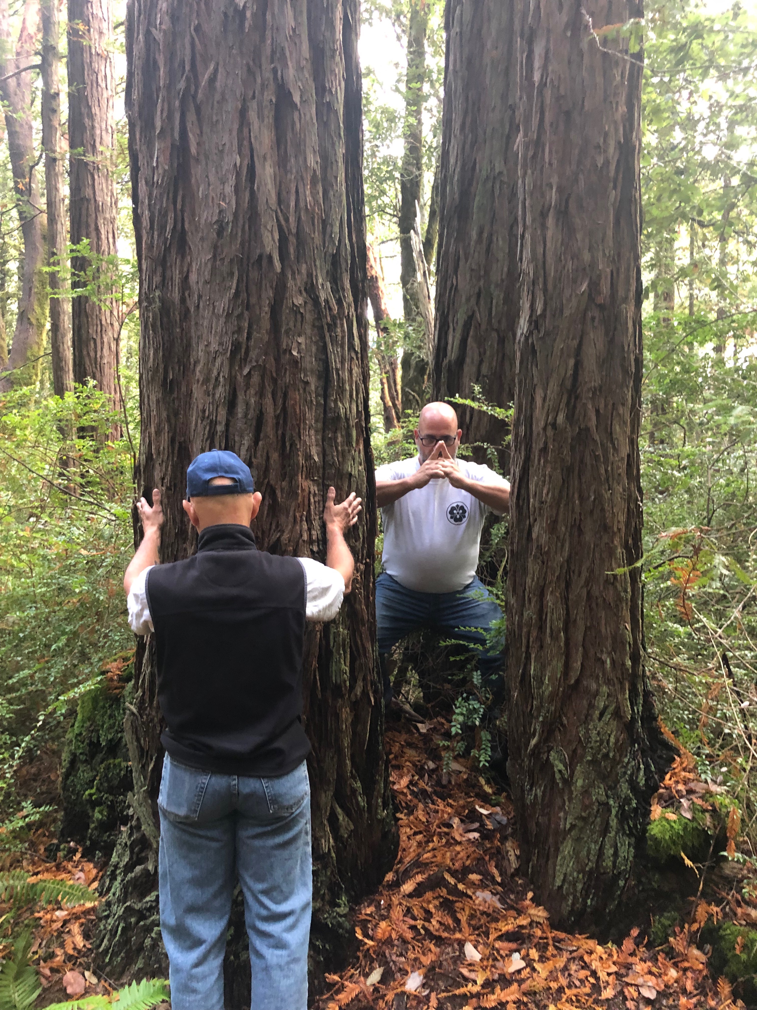 wfamily-2019-DOSHU12