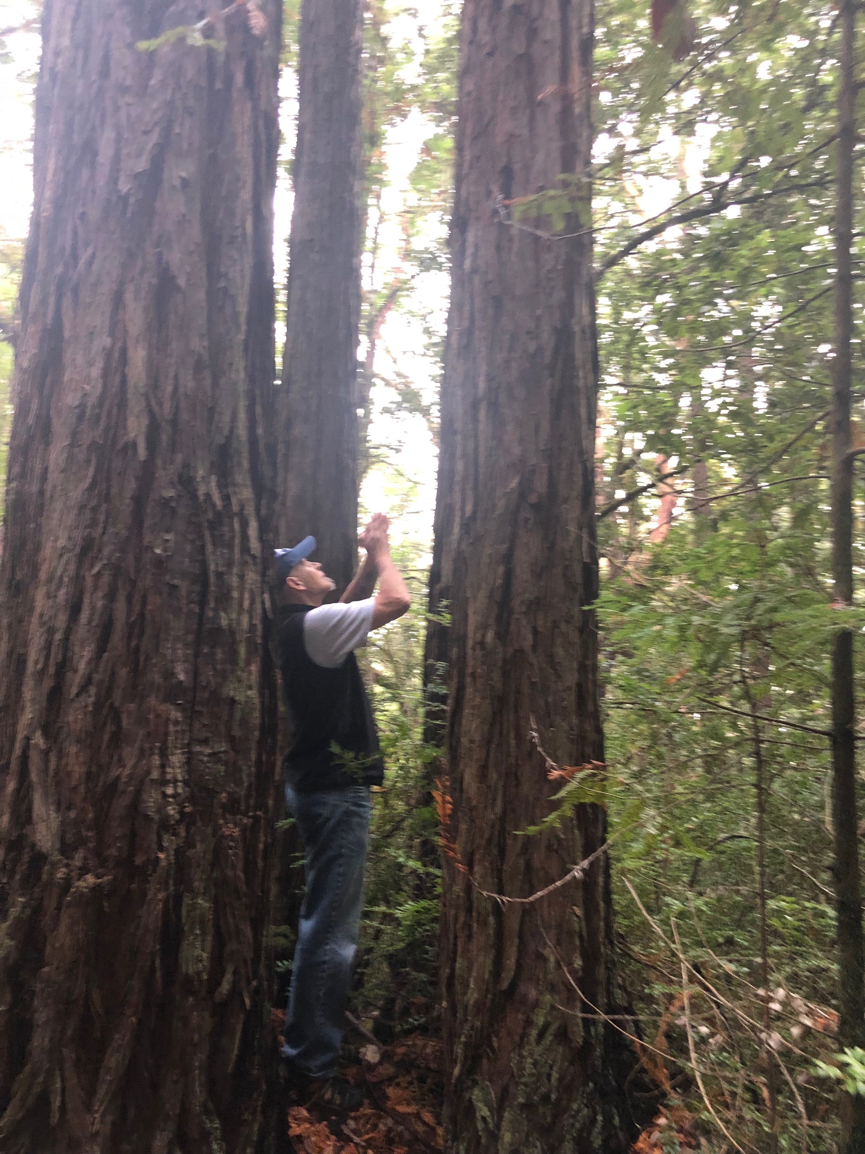 wfamily-2019-DOSHU13